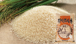 特別栽培米ゆめぴりか5㎏